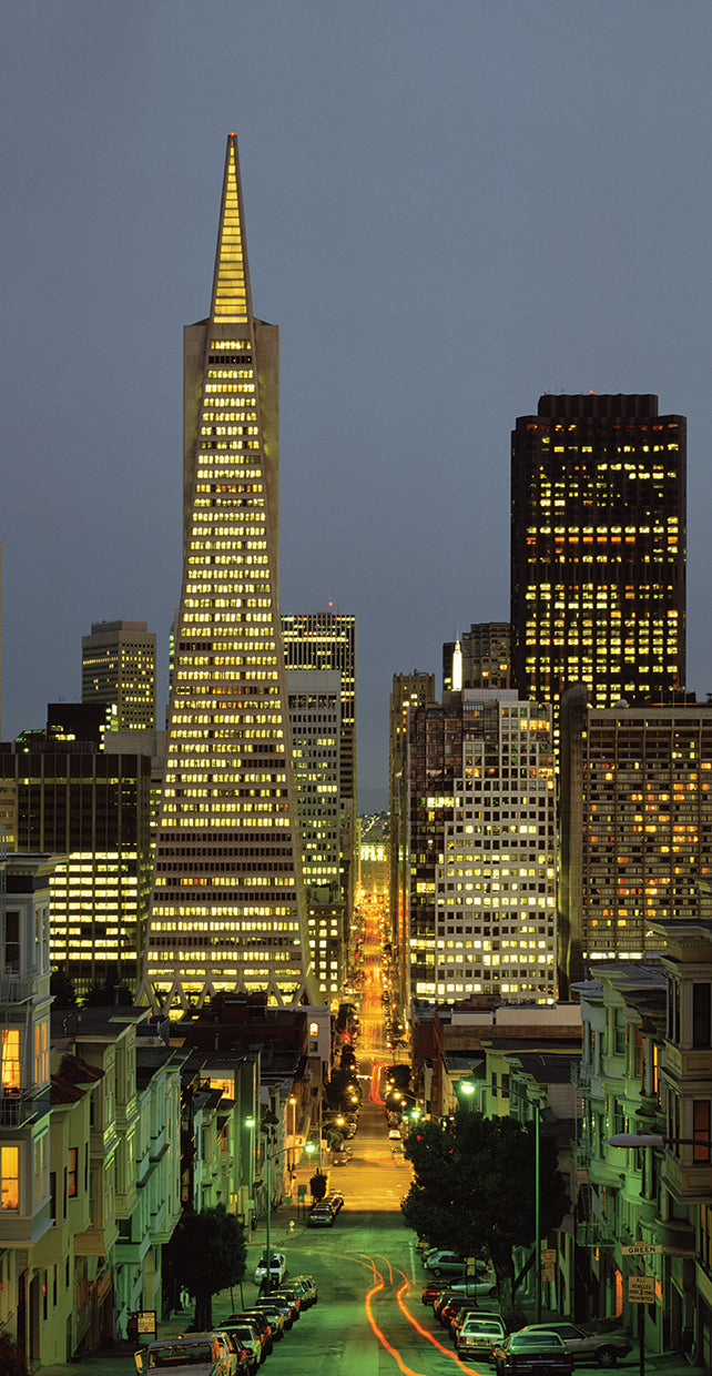 San francisco en la noche Lienzo
