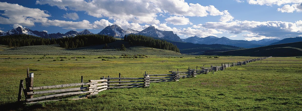 Campo de diente de sierra Lienzo