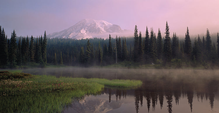 Monte Rainier al anochecer Lienzo