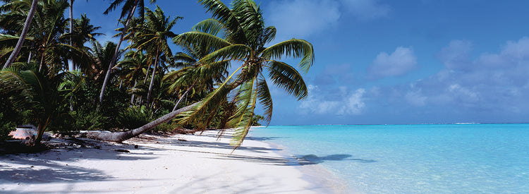 Tahití ventoso Lienzo