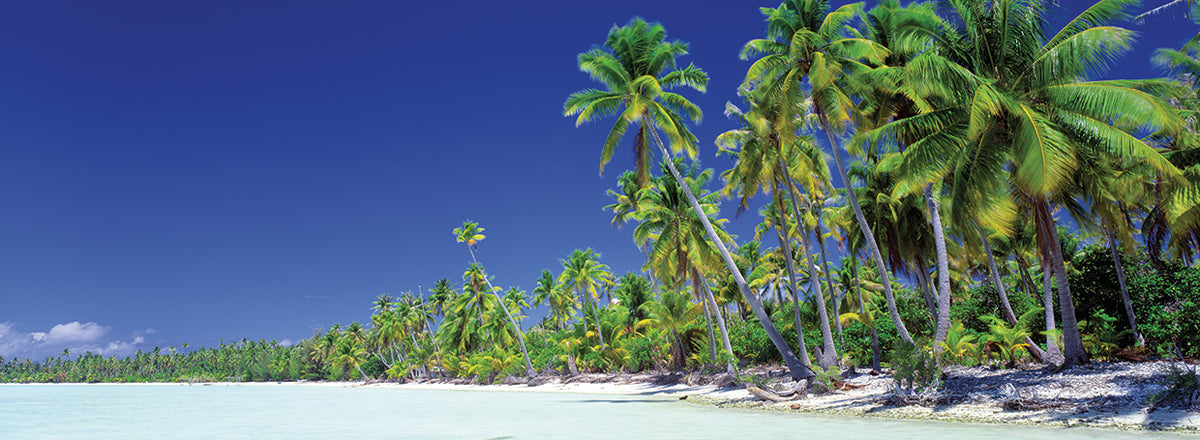 Bora Bora Beaches