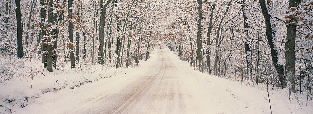 Caminos invernales, Michigan Lienzo