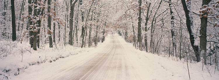 Caminos invernales, Michigan Lienzo