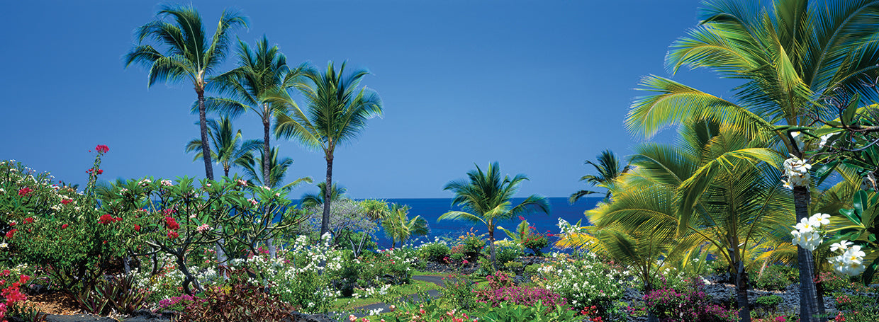 Plantas tropicales de Kona Lienzo