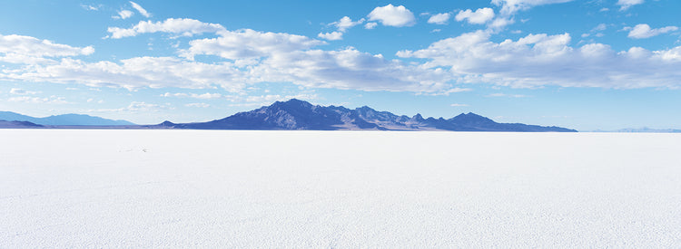 White Salt Flats