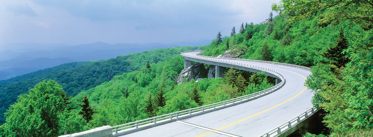 Conduciendo el Blue Ridge Lienzo