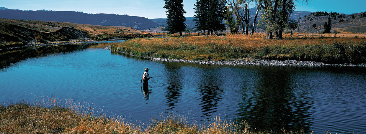 Trout Fishing Yellowstone