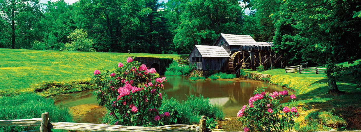 Floreciendo en Mabry Mill Lienzo