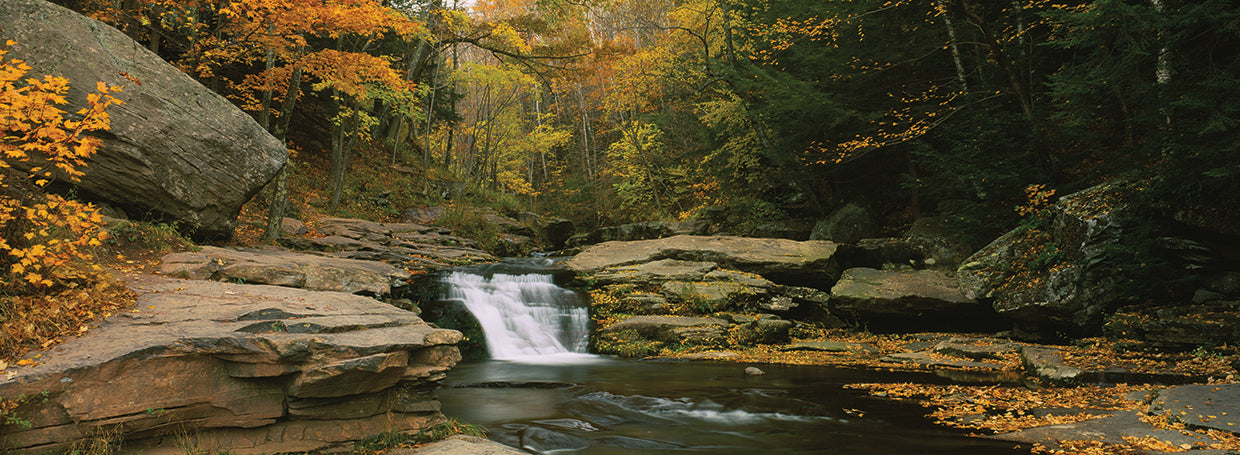 Kaaterskill Falls Autumn
