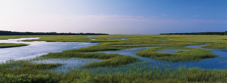 Marismas de sal, florida Lienzo
