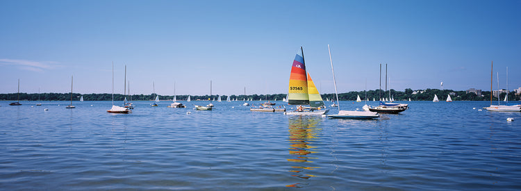 Lake Calhoun Regatta