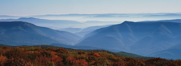 West Virginia Fog