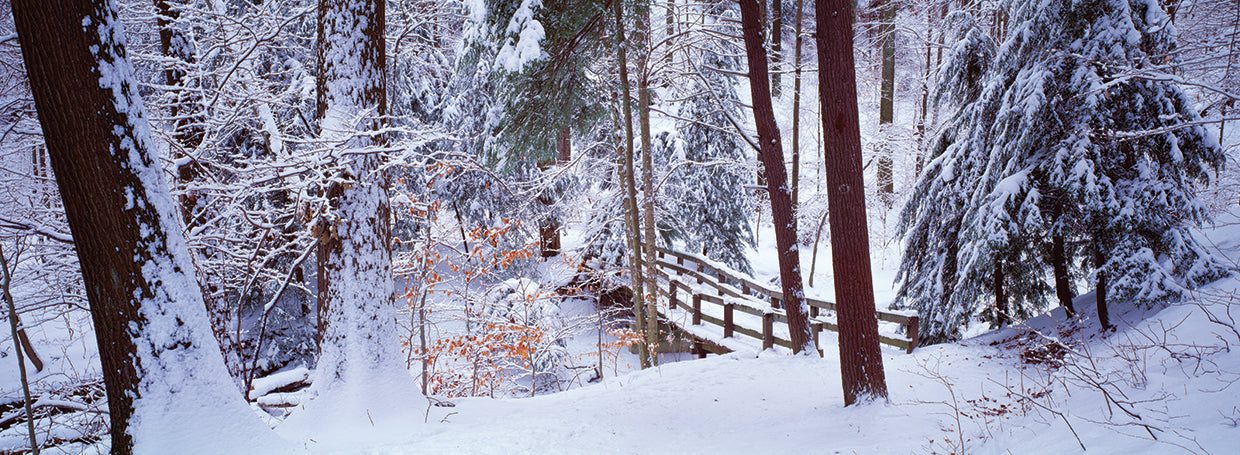 Pasarela de invierno, Cleveland Lienzo