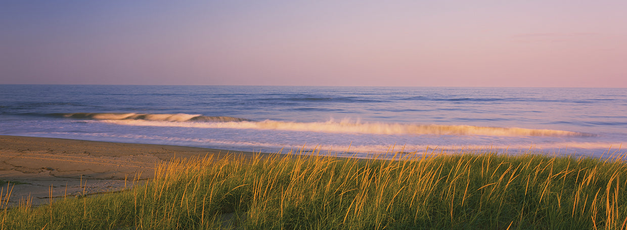 Marram Grass, río Parker Lienzo