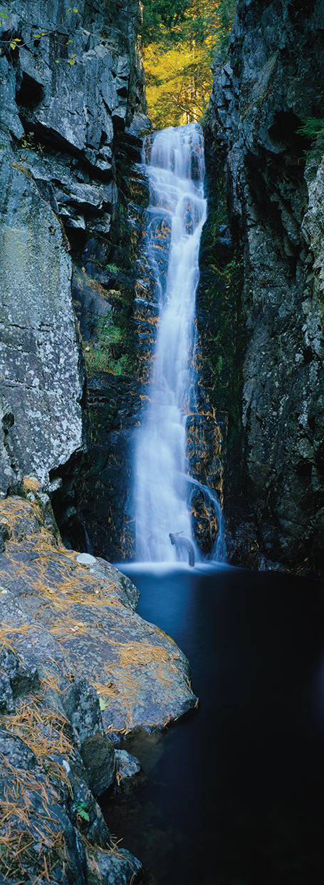 Cascada de New Hampshire Lienzo