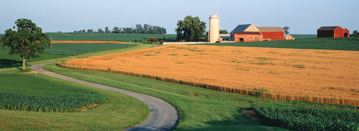 Lancaster County Farm