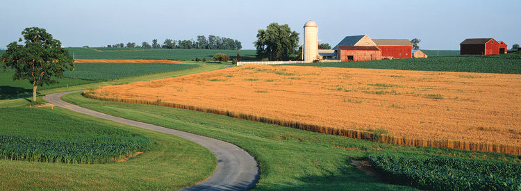 Lancaster County Farm