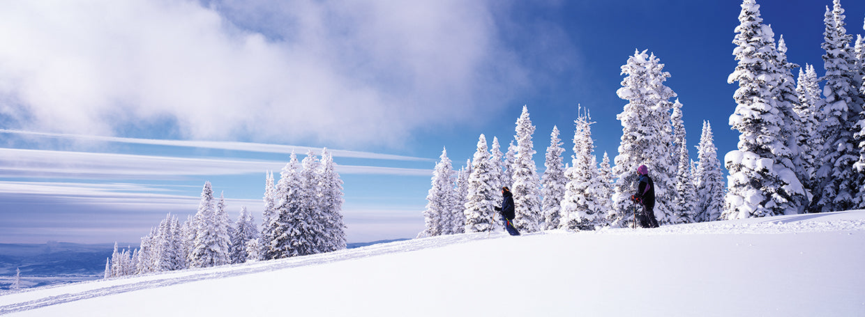 Manantiales nevados de Steamboat Lienzo