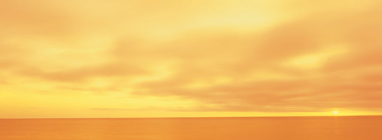 Yellow Sunset