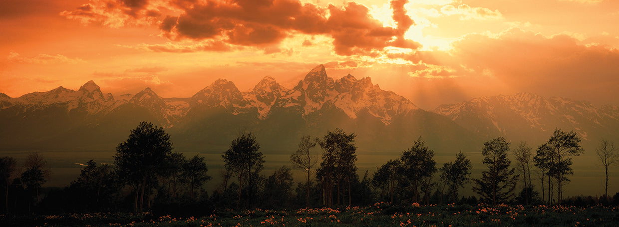Teton Dawn