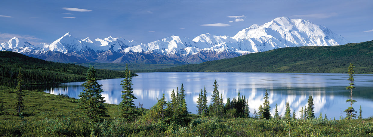 Mt. McKinley Snowpack Lienzo