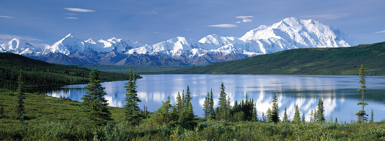 Mt. McKinley Snowpack Lienzo