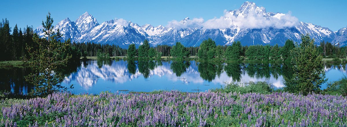 Teton Spring Reflections