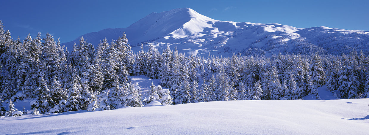 Chugach Mountain Snow