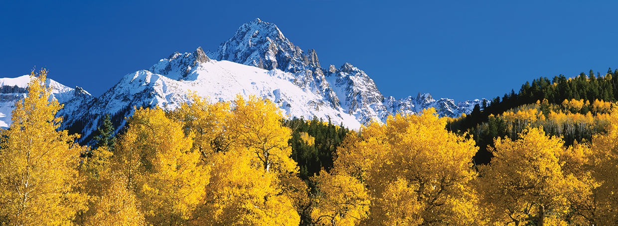 Sneffels color:Yellow and White