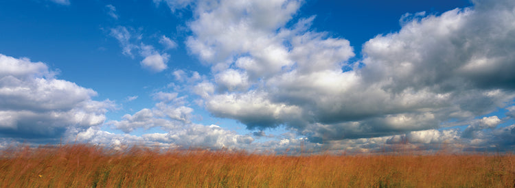 Nubes sobre la pradera Lienzo