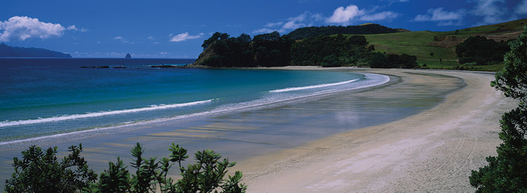Costa de Waipu Lienzo