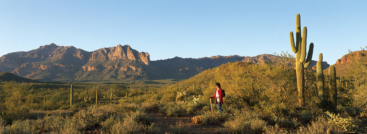 Arizona Hiking