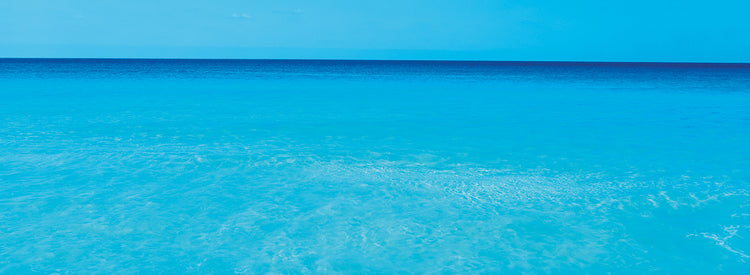 Yucatan Waters