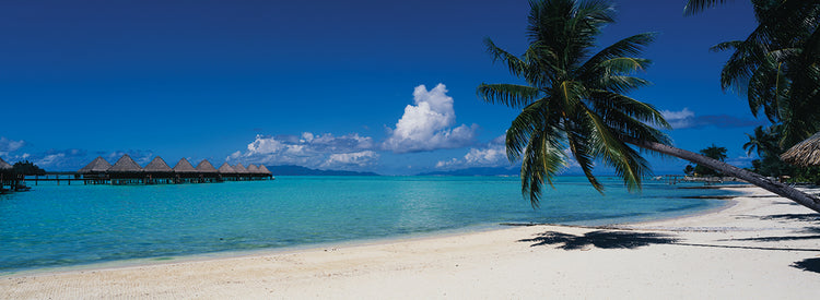 Relajarse en Bora Bora Lienzo