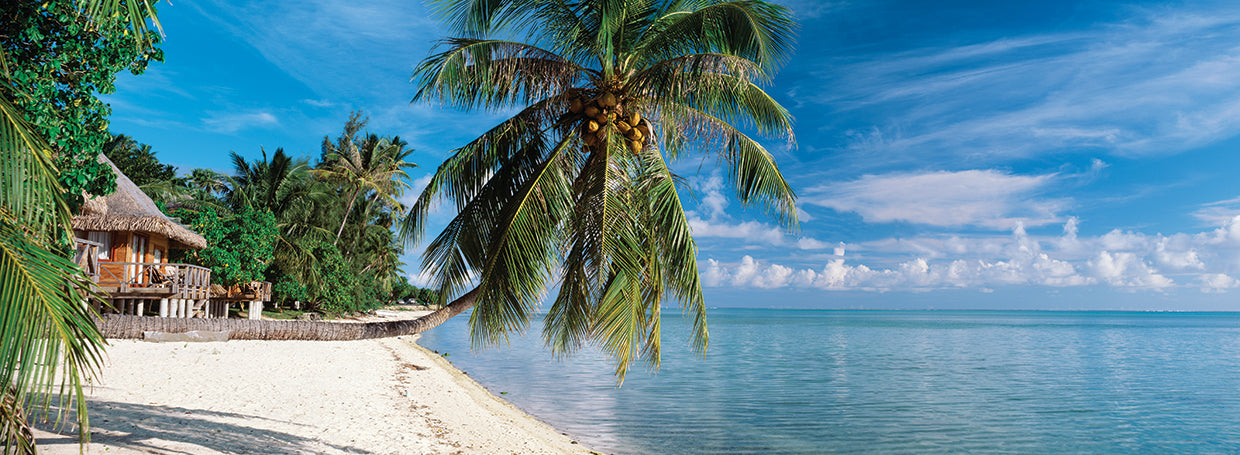 Bora Bora Hangout Lienzo