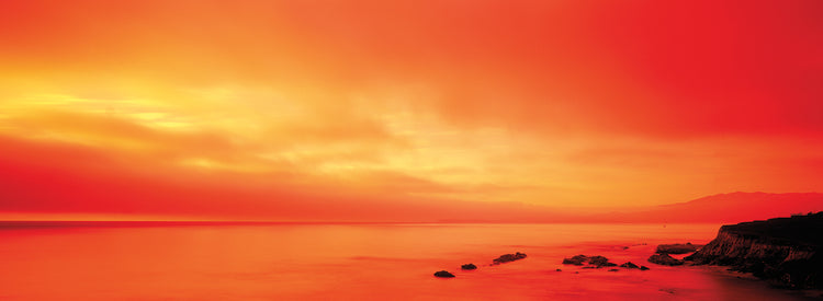 Pacific Coast Oranges