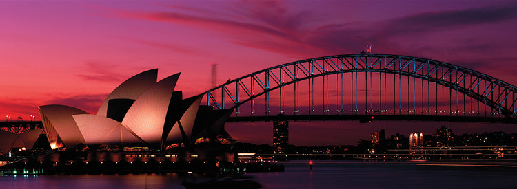Sydney en reposo Lienzo