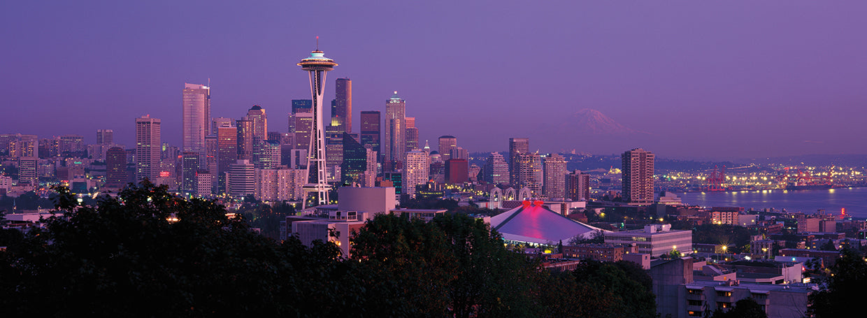 Tardes de Seattle Lienzo