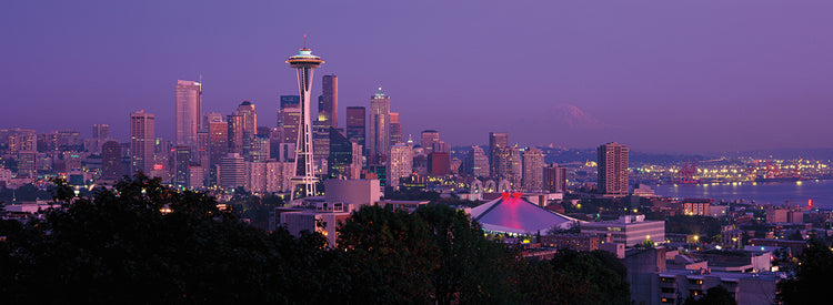 Tardes de Seattle Lienzo