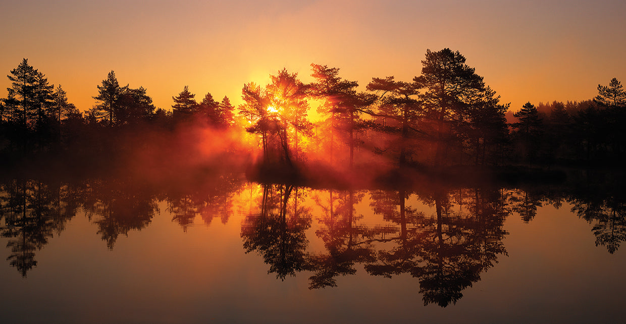 Amanecer sueco Lienzo