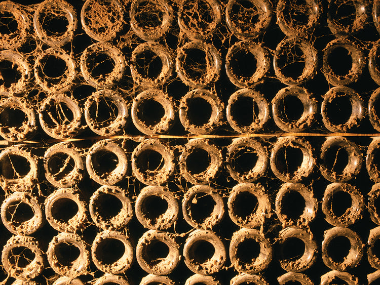 Bodega francesa Lienzo
