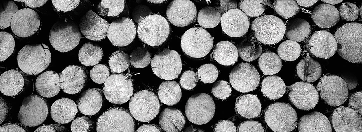 Madera alemana Lienzo