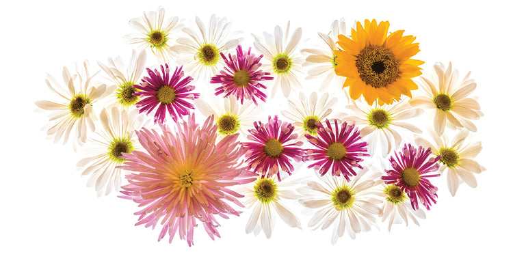 Floral eléctrico Lienzo