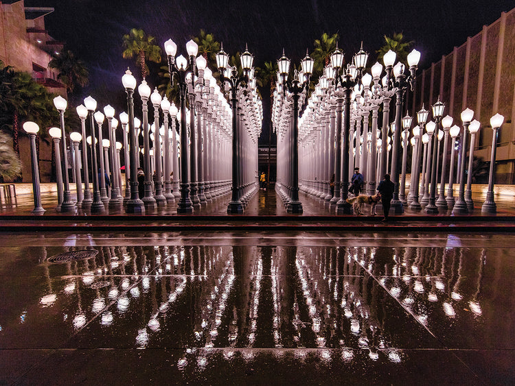 Luces urbanas lluviosas Lienzo
