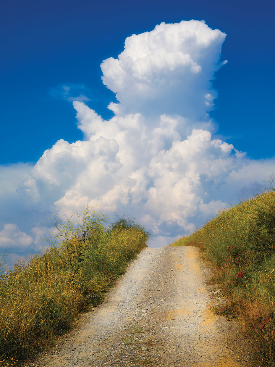 Tuscan Dirt Road