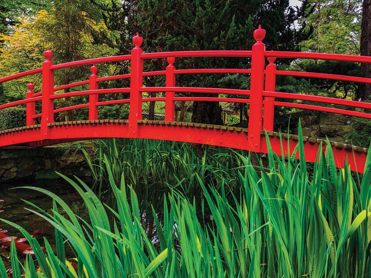Puente japonés Lienzo