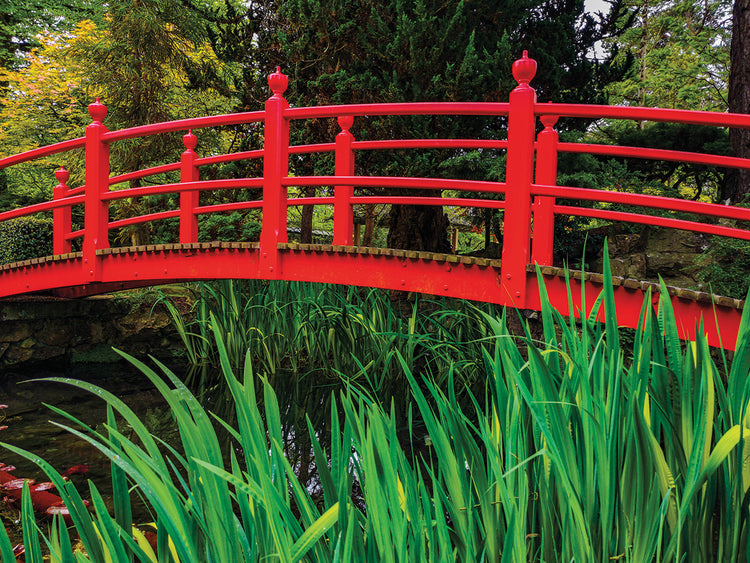 Puente japonés Lienzo