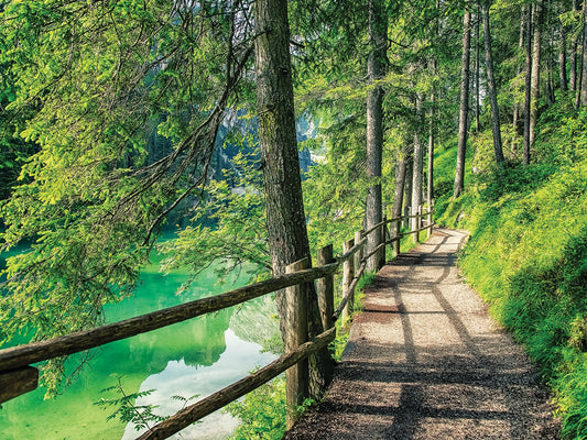 The Path, Braies, Italy Canvas Print