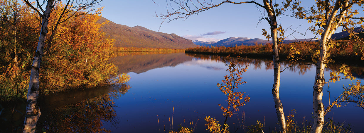 Vistas River Reflections
