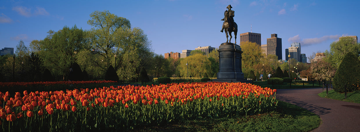 Jardines de George Washington Lienzo